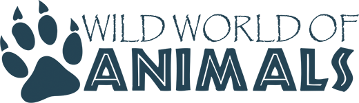 Wild World of Animals logo