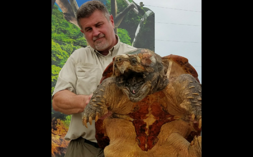 Alligator Snapping Turtle 