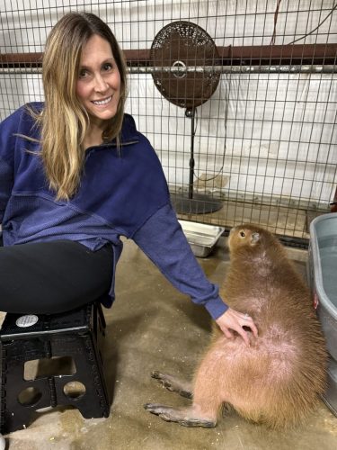 IMG_20260207_144514 (1)