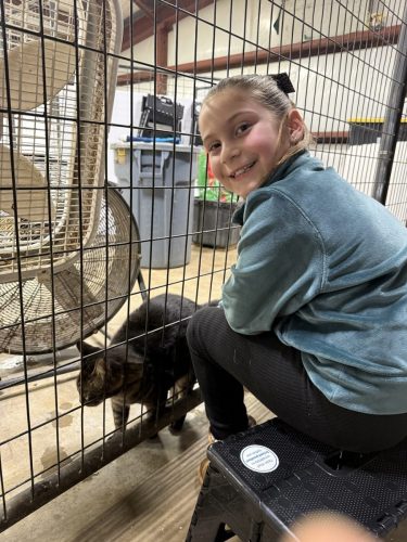 IMG_20260207_144514 (2)