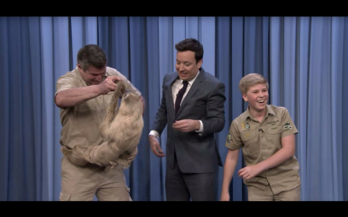 Two Toed Sloth fallon show