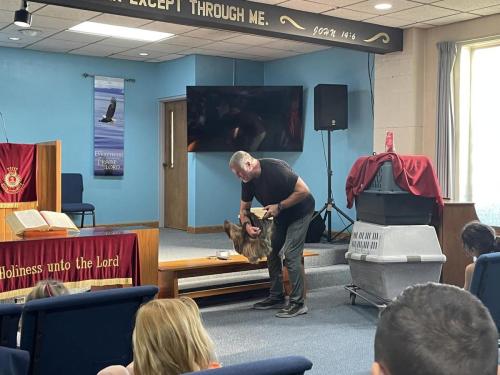 sloth show trainer climbing arm