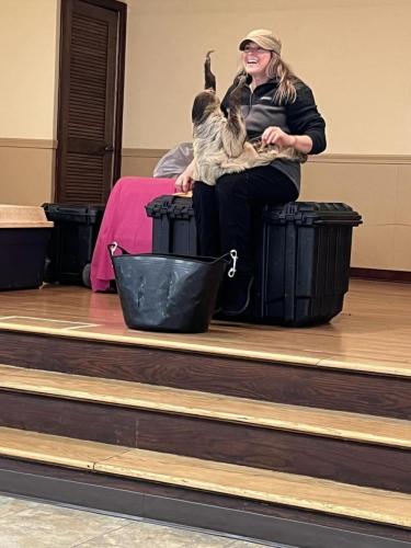 sloth show trainer stage