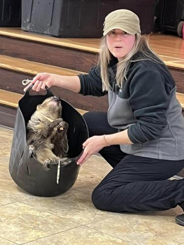 sloth show trainer tote eating