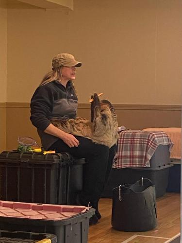 sloth trainer eating show